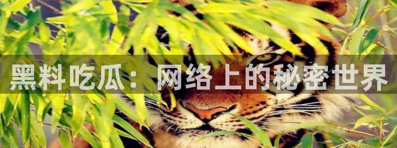 黑料.：黑料吃瓜：网络上的秘密世界