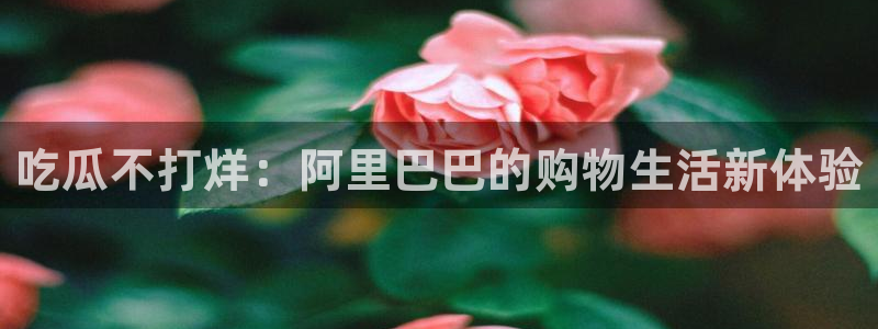 网站吃瓜