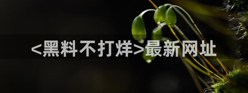 51吃瓜网ccgg