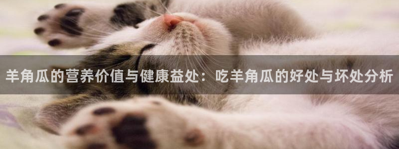 51吃瓜网张津瑜