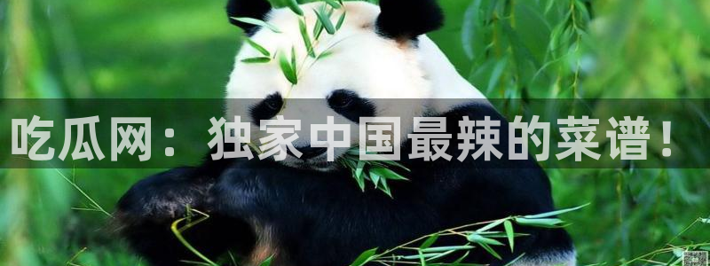 tongrentu8吃瓜吃瓜