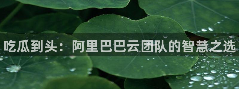 www.吃瓜