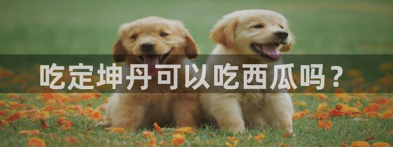91cg.fun今日吃瓜：吃定坤丹可以吃西瓜吗？