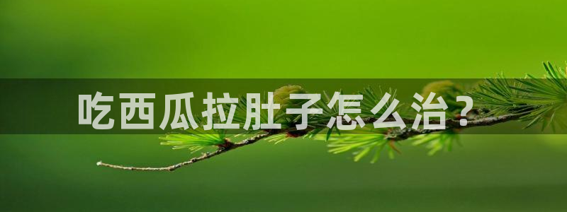对照组在大杂院吃瓜[七零]：吃西瓜拉肚子怎么治？