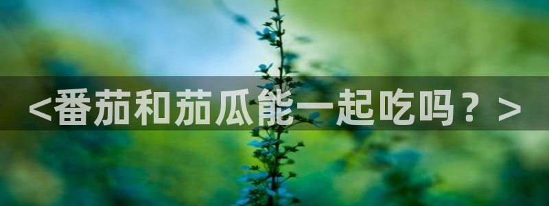吃瓜下载:<番茄和茄瓜能一起吃吗?>