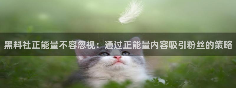 51吃瓜网今日榜单