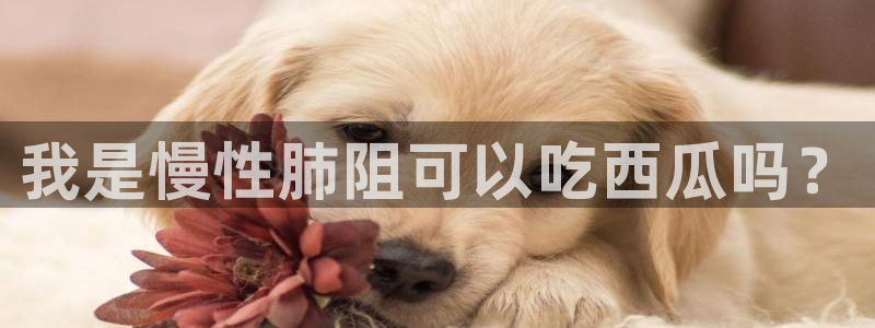 吃瓜网998.su永久有效:我是慢性肺阻可以吃西瓜吗?
