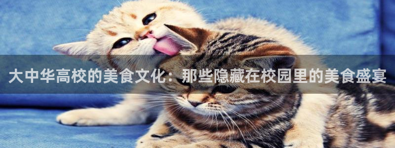 高血糖可以吃瓜吗