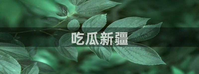吃瓜去哪个网：吃瓜新疆