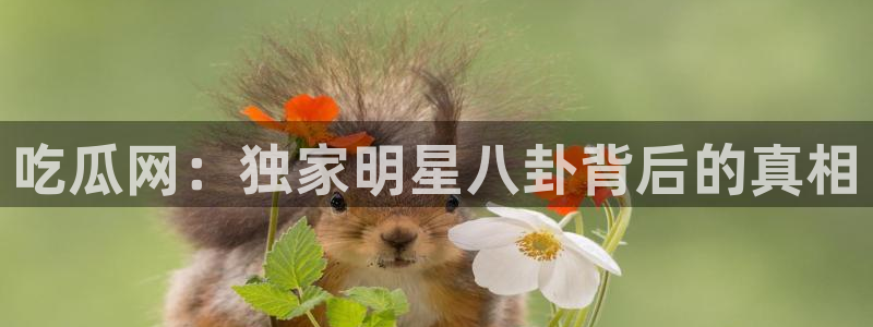 51cgfun吃瓜网怎么进：吃瓜网：独家明星八卦背后的真相