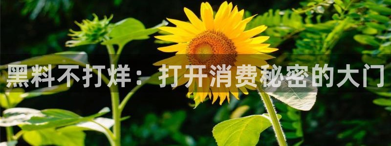 吃瓜吃到自己头上：黑料不打烊：打开消费秘密的大门