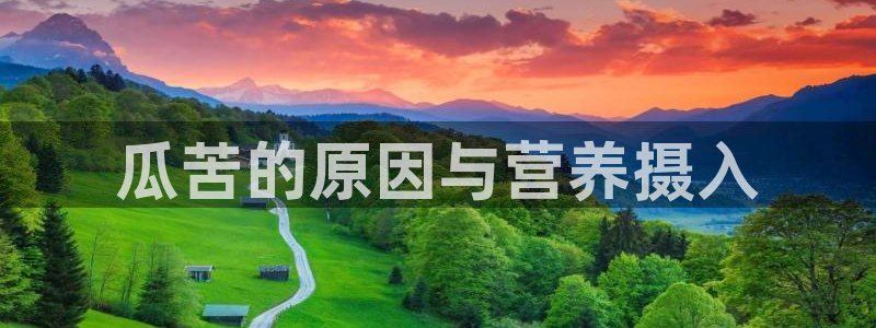 51cg每日吃瓜:瓜苦的原因与营养摄入