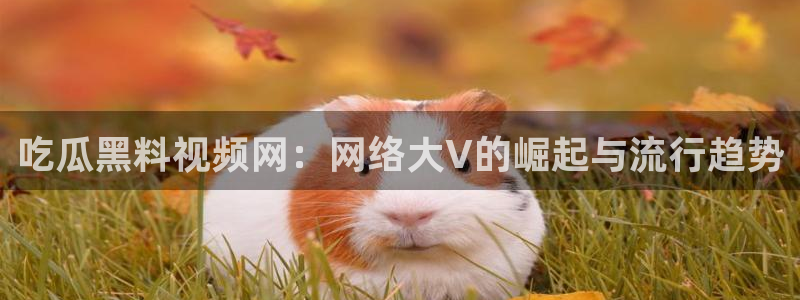 吃瓜发现我家皆大佬:吃瓜黑料视频网:网络大V的崛起与流行趋势