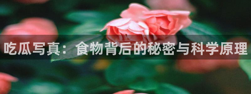 51吃瓜热心张津瑜:吃瓜写真:食物背后的秘密与科学原理
