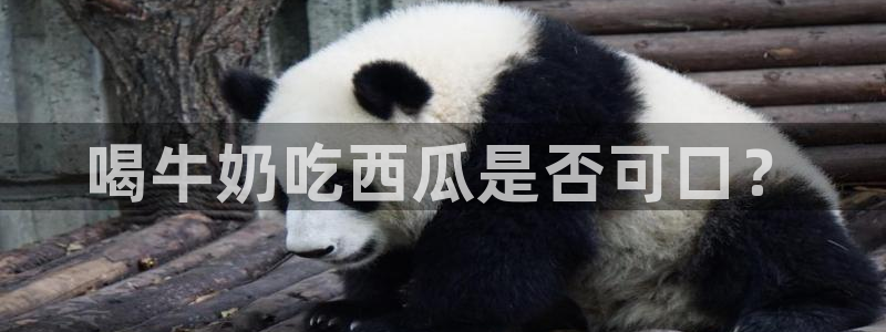 51吃瓜网每日榜单:喝牛奶吃西瓜是否可口?