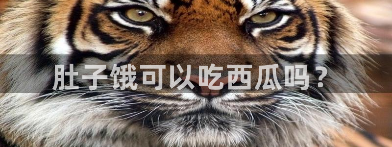 黑料免费:肚子饿可以吃西瓜吗?